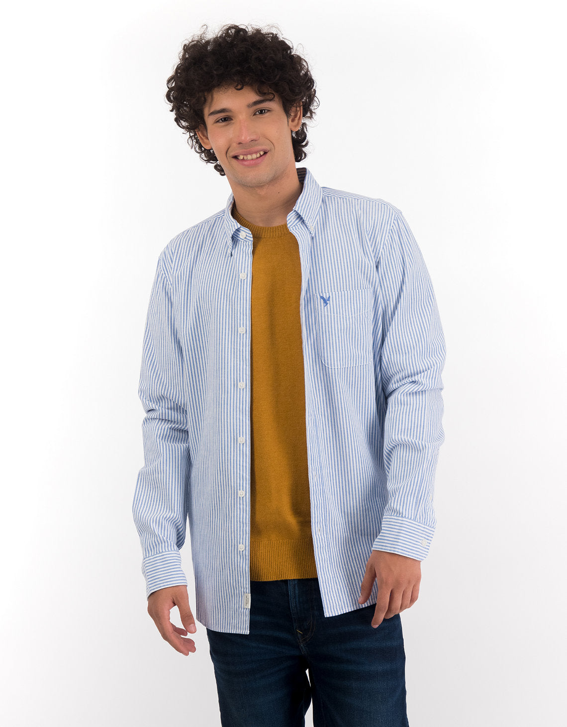 Camisa Slim de Rayas Manga Larga Hombre AE - Azul 0153_2103_401_of