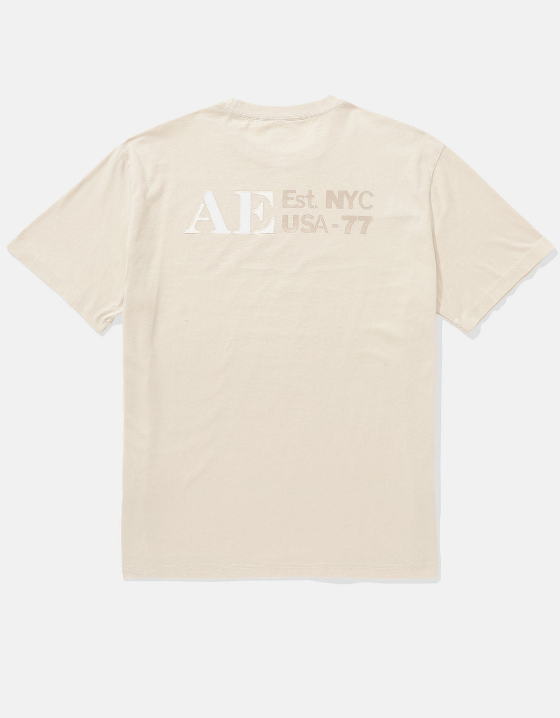 Camiseta gráfica con logotipo aplicado de AE - Generico 0181_4253_106_b