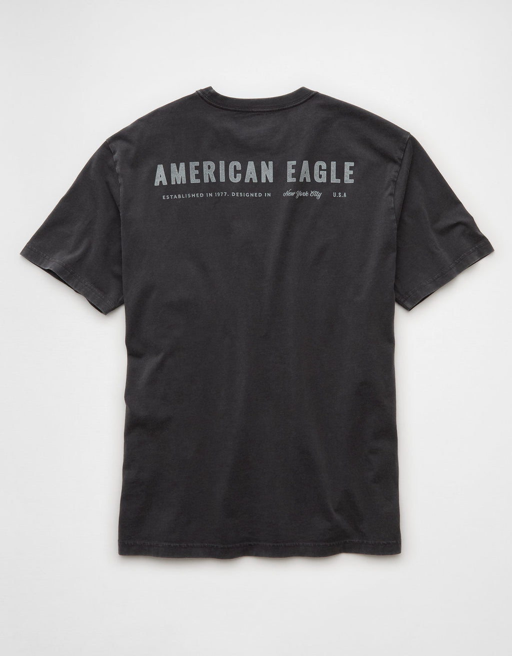 Camiseta Gráfica con Logo Ae - Gris 0181_4420_023_b