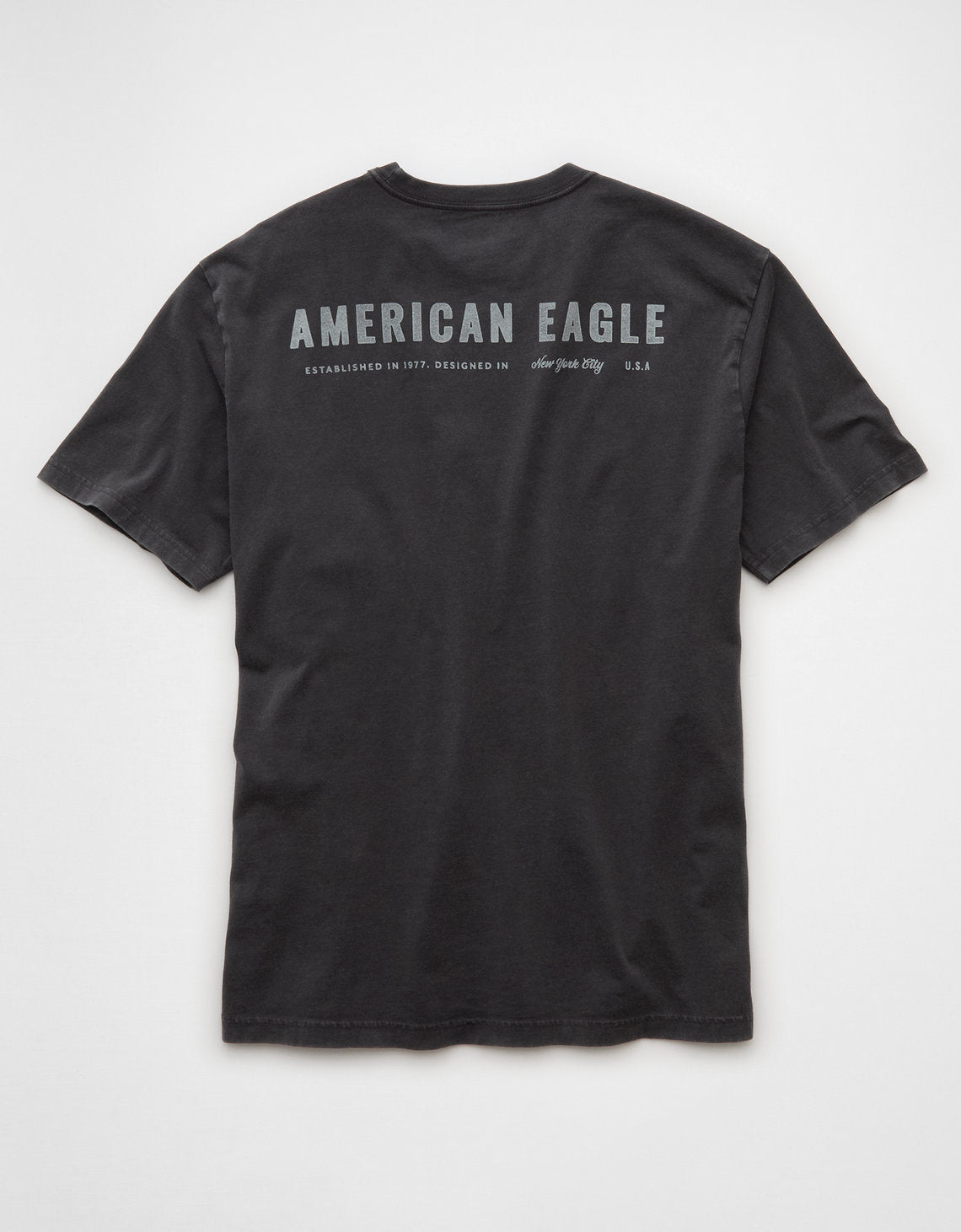 Camiseta Gráfica con Logo Ae - Gris 0181_4420_023_b