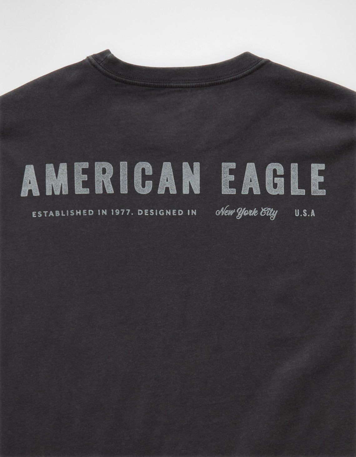 Camiseta Gráfica con Logo Ae - Gris 0181_4420_023_d1