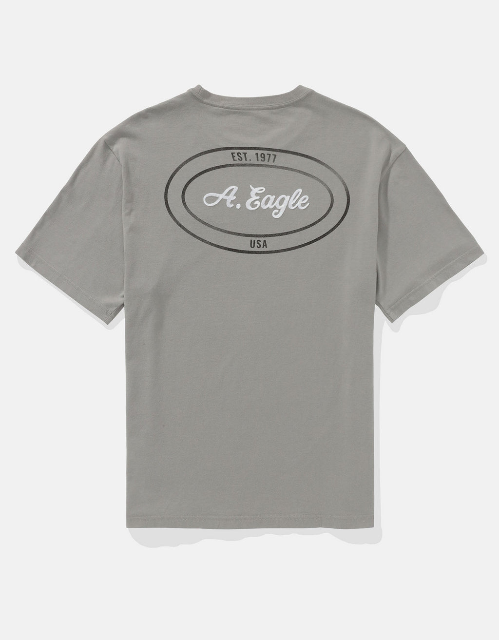 Camiseta Gráfica con Logotipo Elevado Ae - Gris 0181_4423_020_b