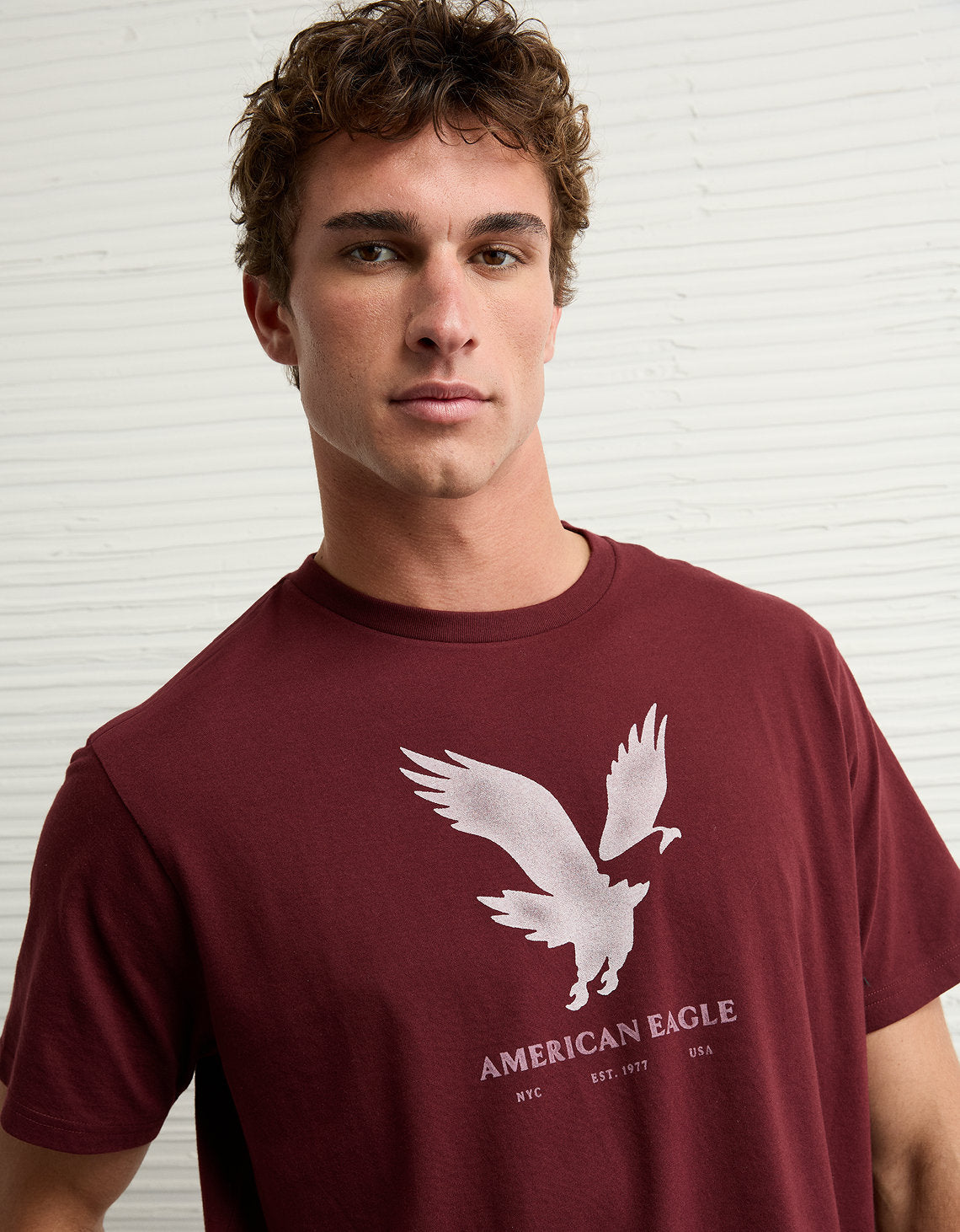 Camiseta con Gráfico Ae - Morado 0181_4819_902_os