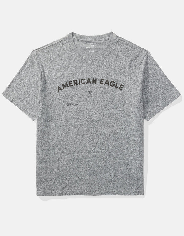 Camiseta gráfica con logotipo icónico Ae - Gris