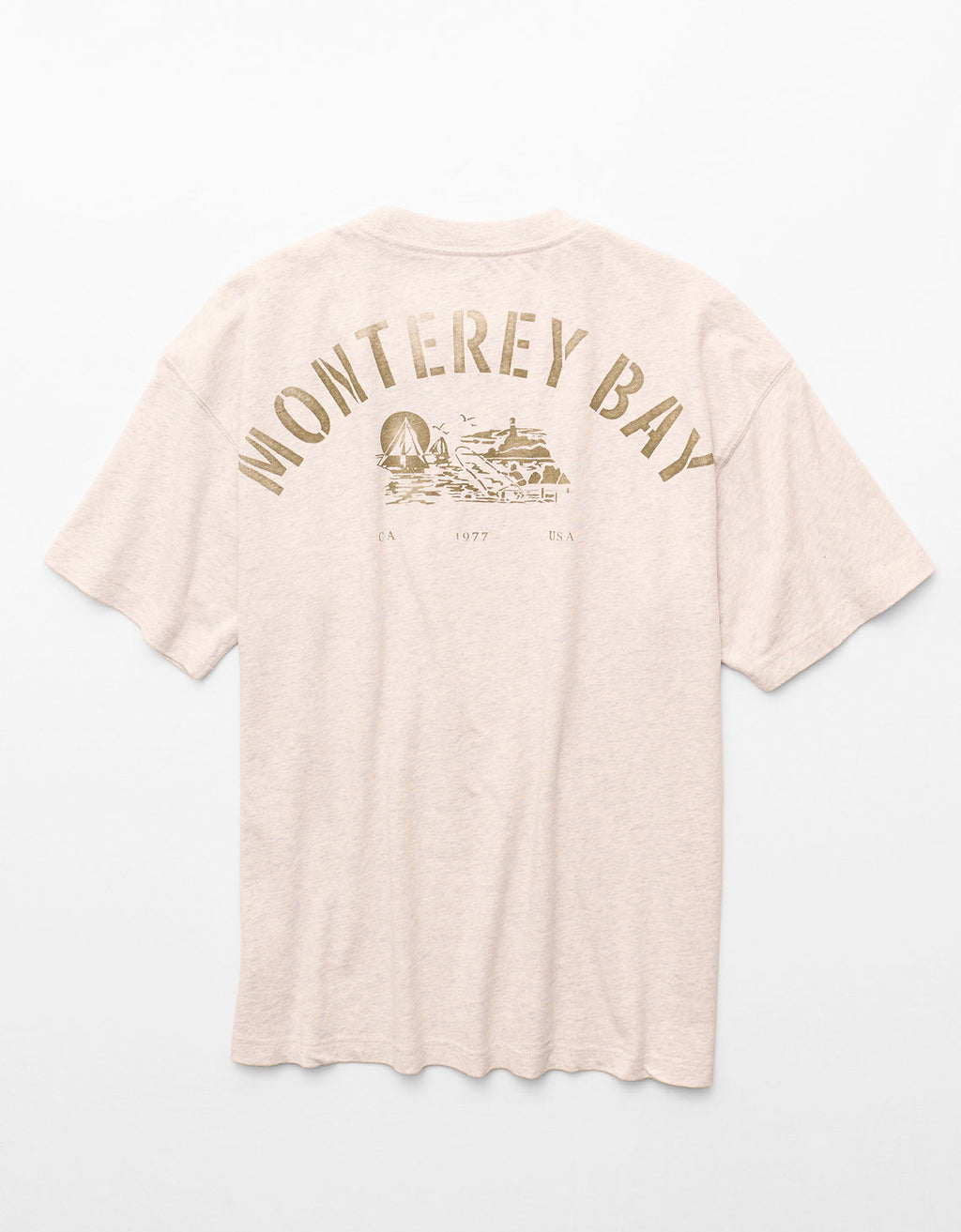 Camiseta Gráfica de Destino Boxy Ae - Gris 0181_5691_092_b