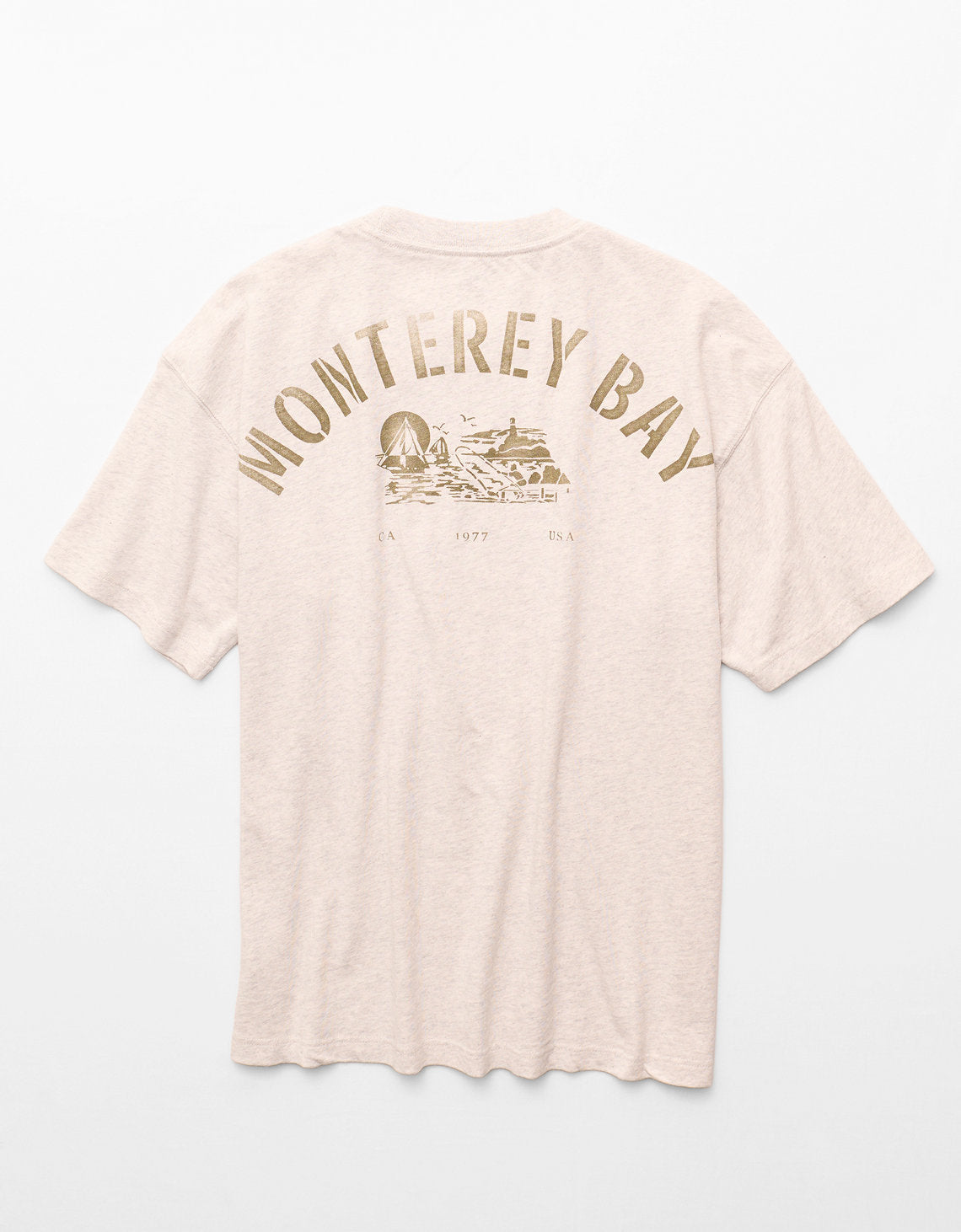 Camiseta Gráfica de Destino Boxy Ae - Gris 0181_5691_092_b