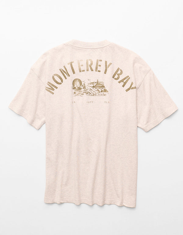 Camiseta Gráfica de Destino Boxy Ae - Gris