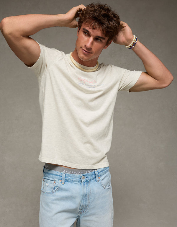 Camiseta Gráfica de Destino Ajuste Estándar Ae - Gris