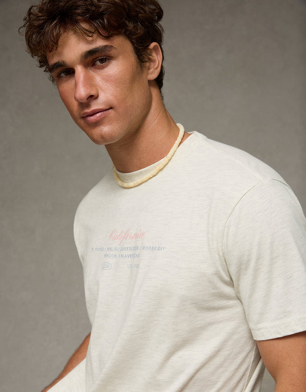 Camiseta Gráfica de Destino Ajuste Estándar Ae - Gris