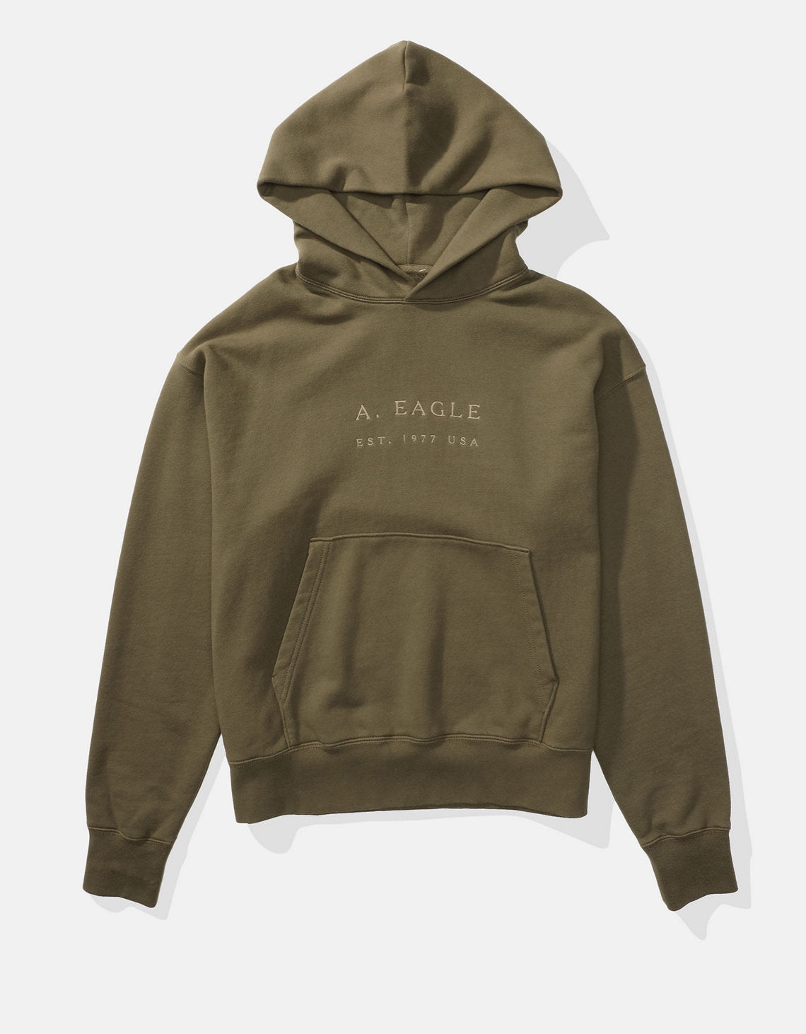 Sudadera con capucha de lujo relajado y pesado Ae - Generico 0193_2707_309_f