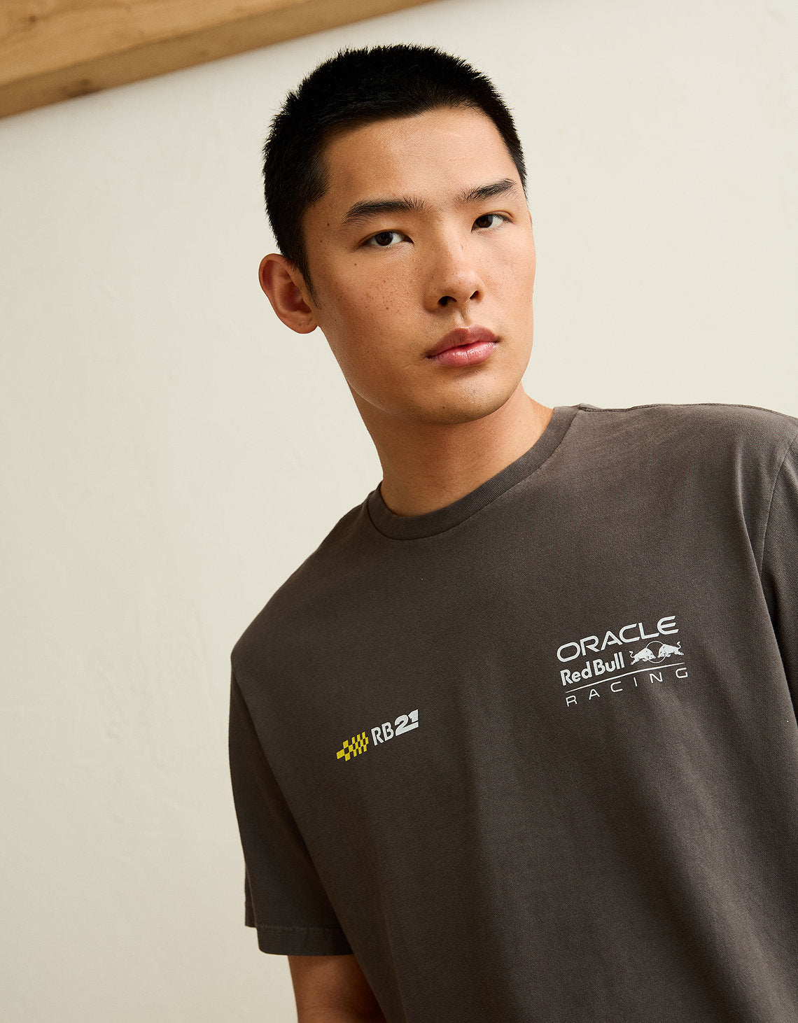 Camiseta gráfica de ajuste estándar Ae x Oracle Red Bull Racing - Gris 0519_6065_023_os