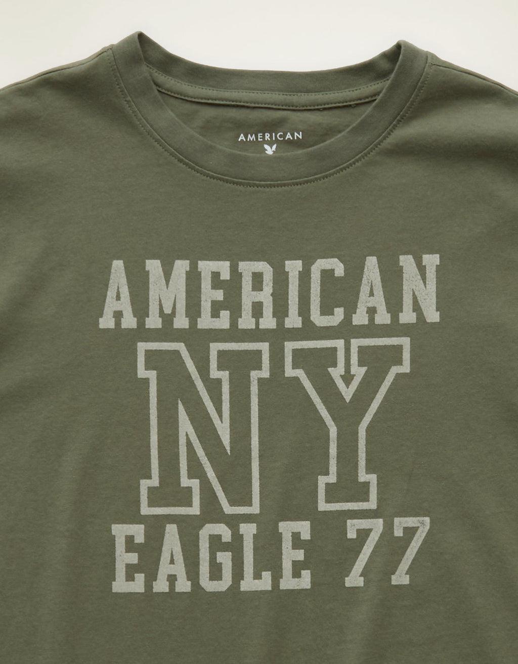 Camiseta Gráfica de Uso Diario Ae - Verde 0531_1729_380_d1