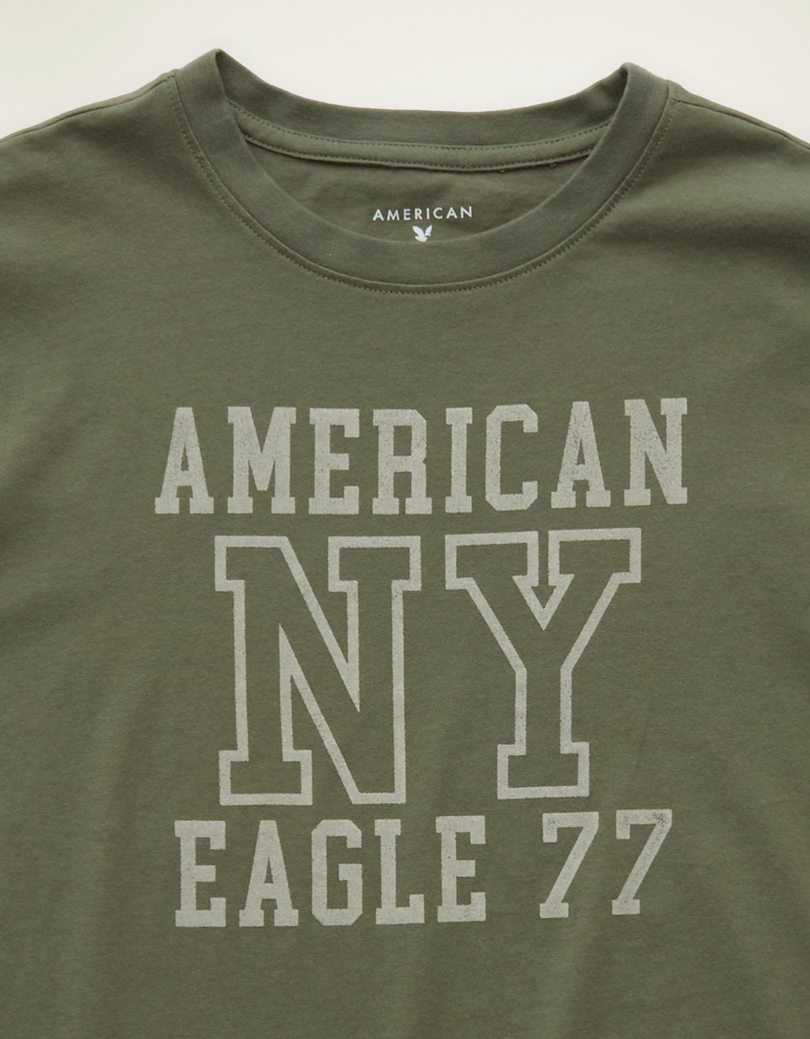 Camiseta Gráfica de Uso Diario Ae - Verde 0531_1729_380_d1