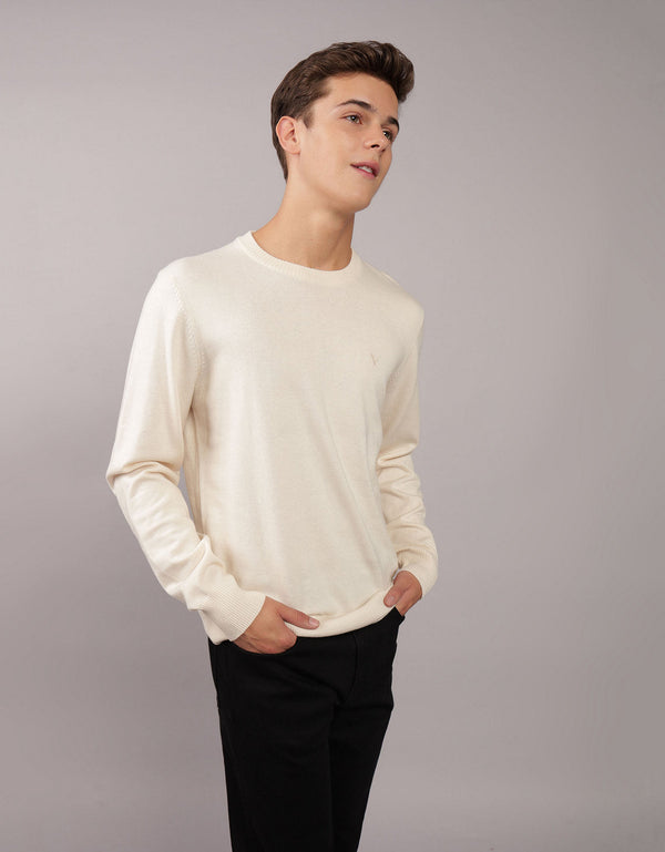 Buzo cuello redondo Manga Larga Hombre AE - Generico