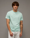 Camiseta de ajuste estándar Ae Lived-in - Verde 1164_4155_395_of