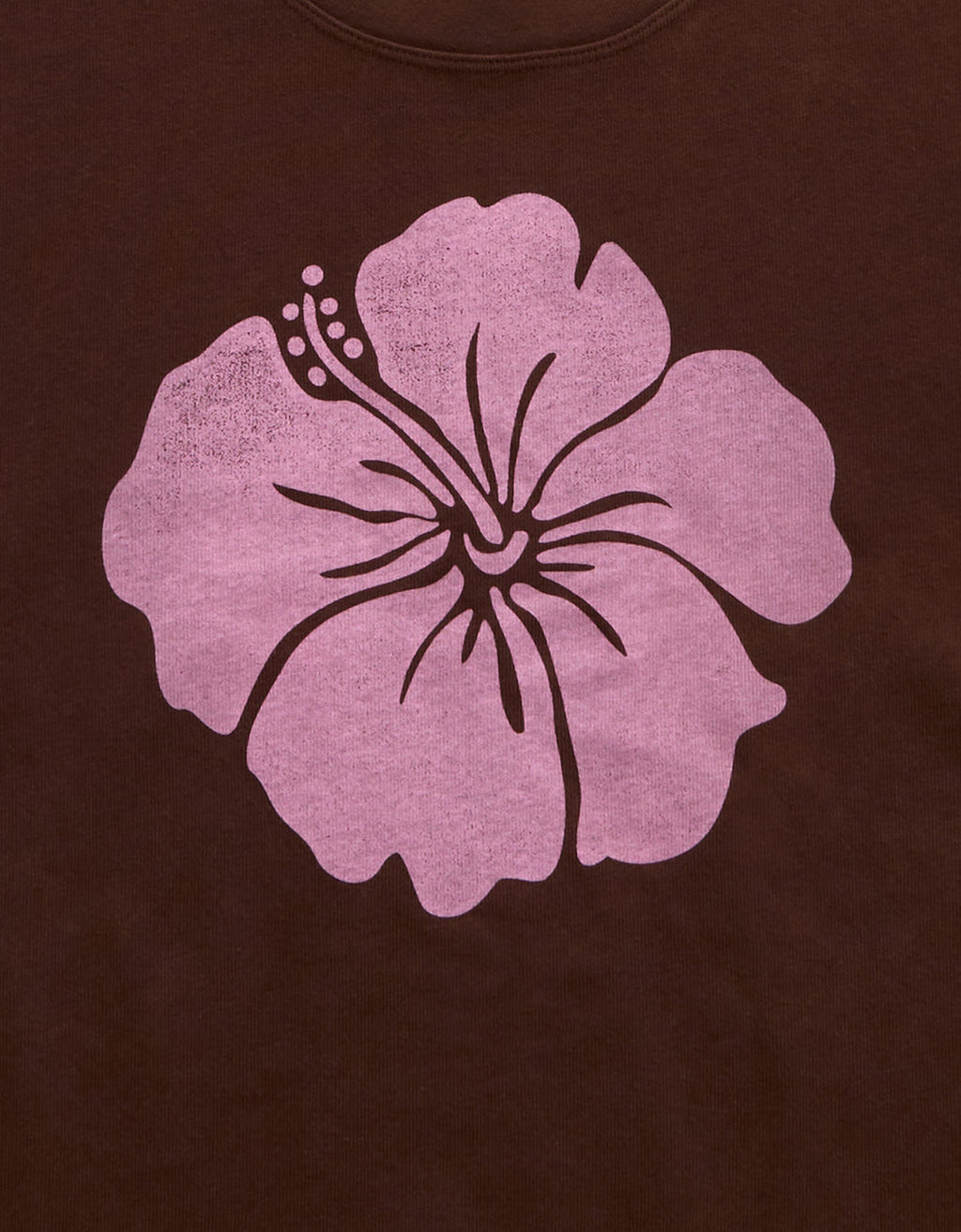 Camiseta Gráfica Ae Boxy - Café 1305_1666_285_d1