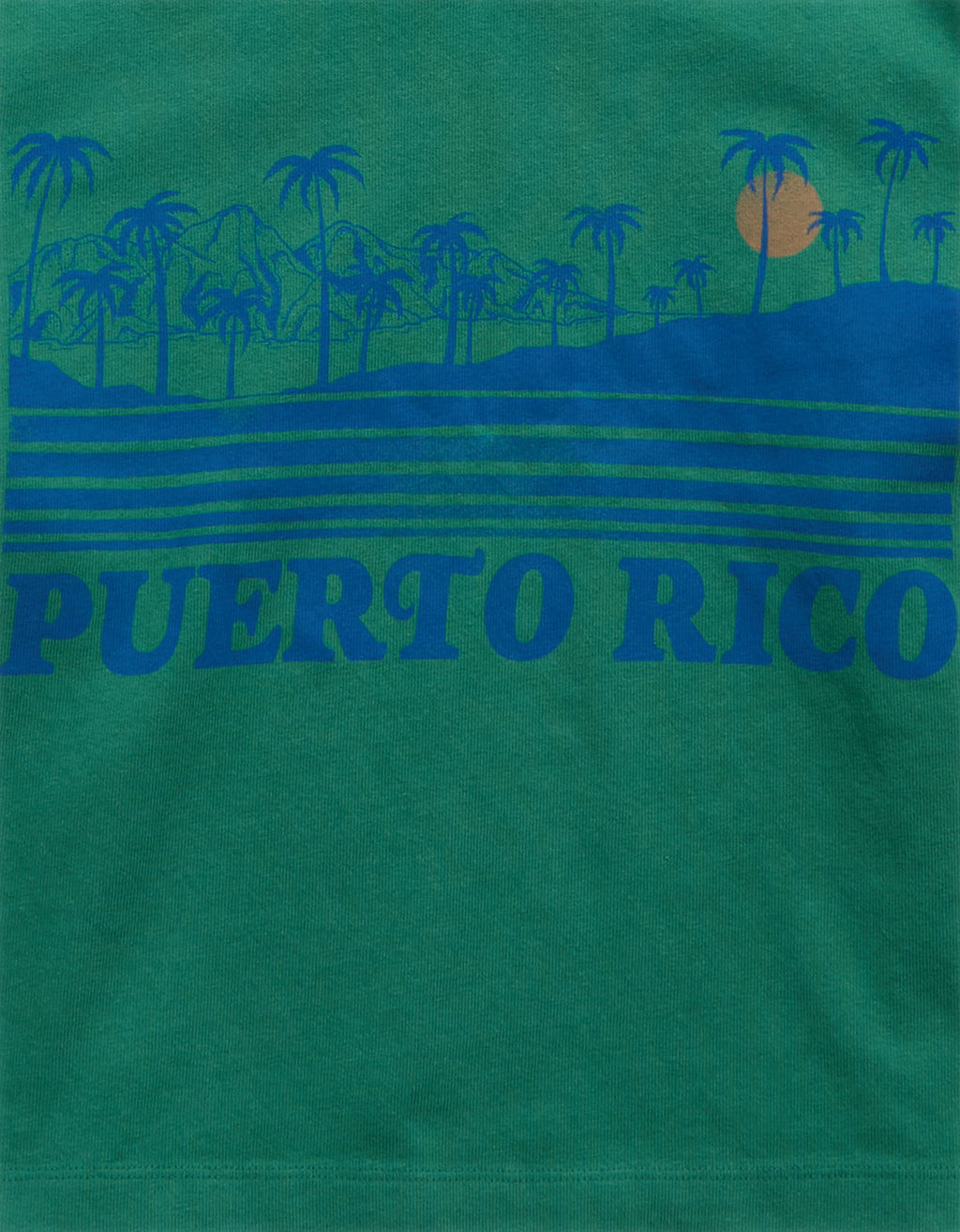 Camiseta Gráfica Ae Boxy - Verde 1305_1666_299_d1