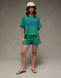 Camiseta Gráfica Ae Boxy - Verde 1305_1666_299_os