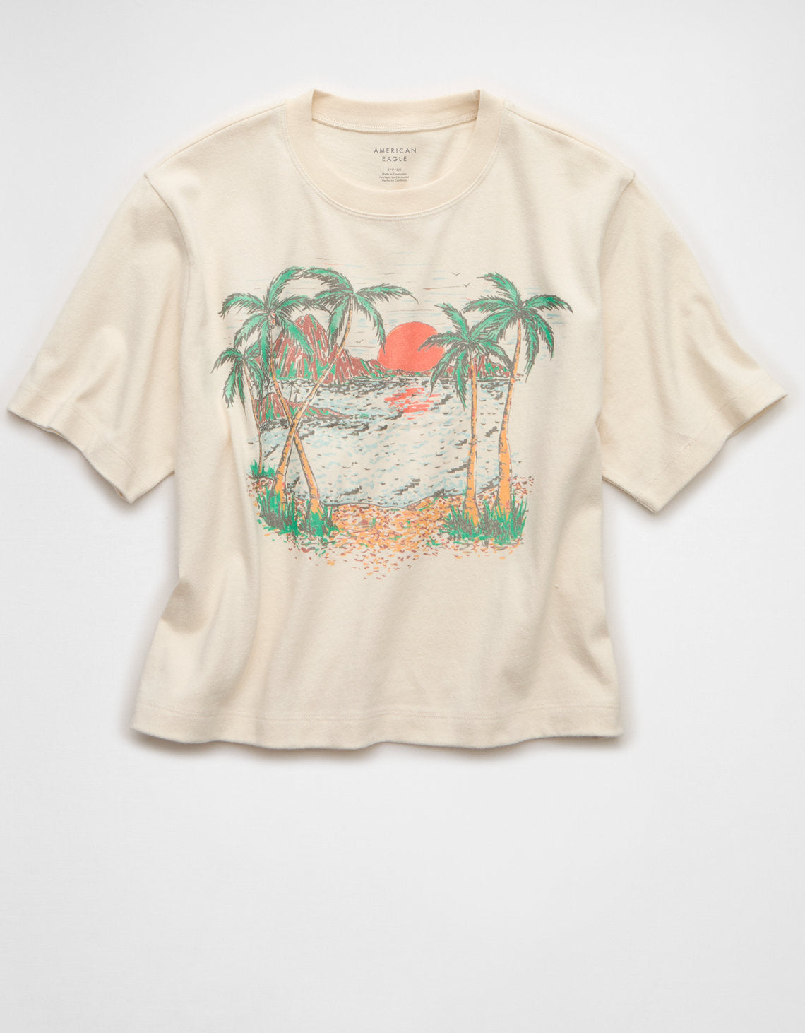 Camiseta Gráfica Ae Boxy - Generico 1305_1667_106_f
