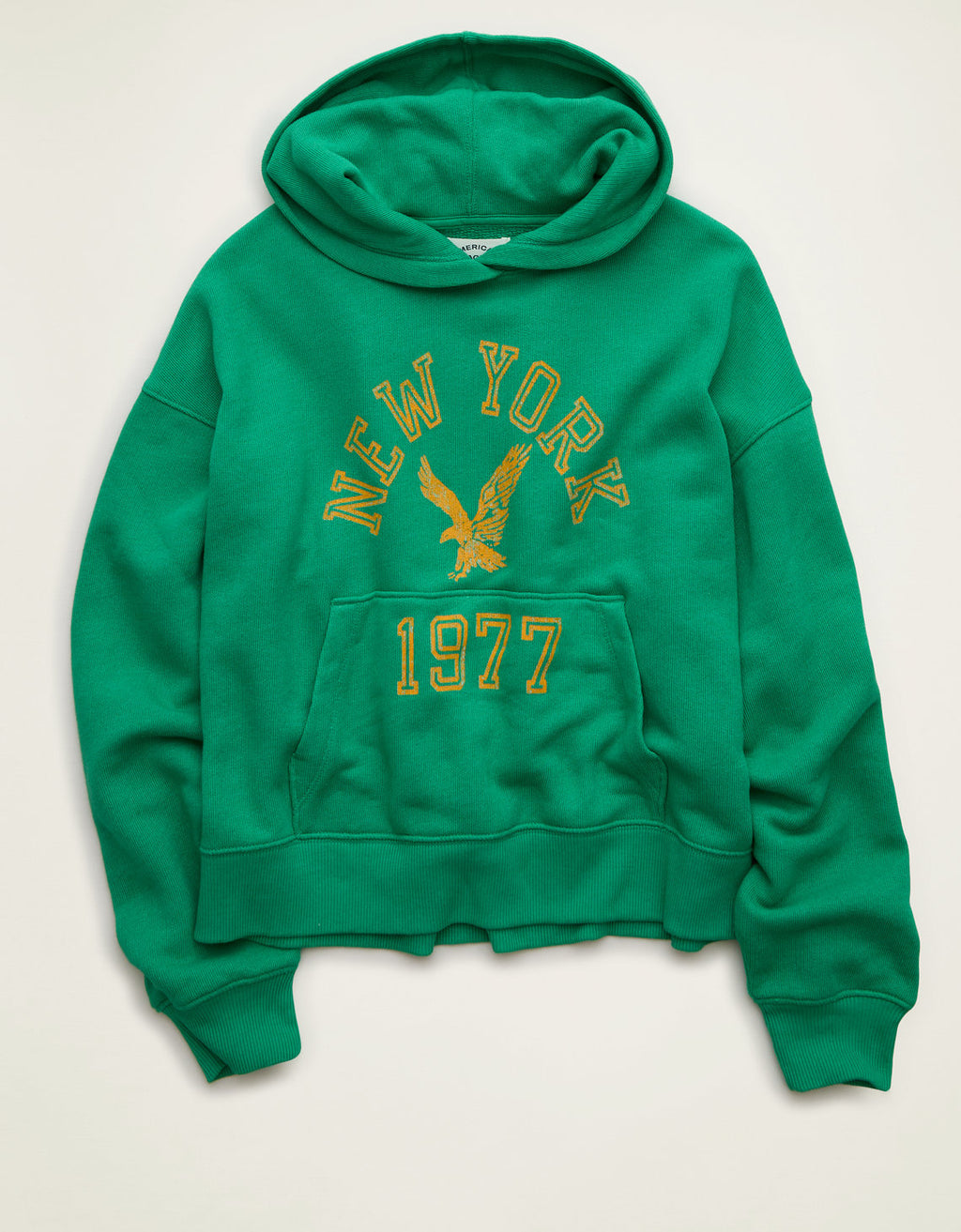 Sudadera con capucha Ae Campus - Generico 1453_3049_370_f