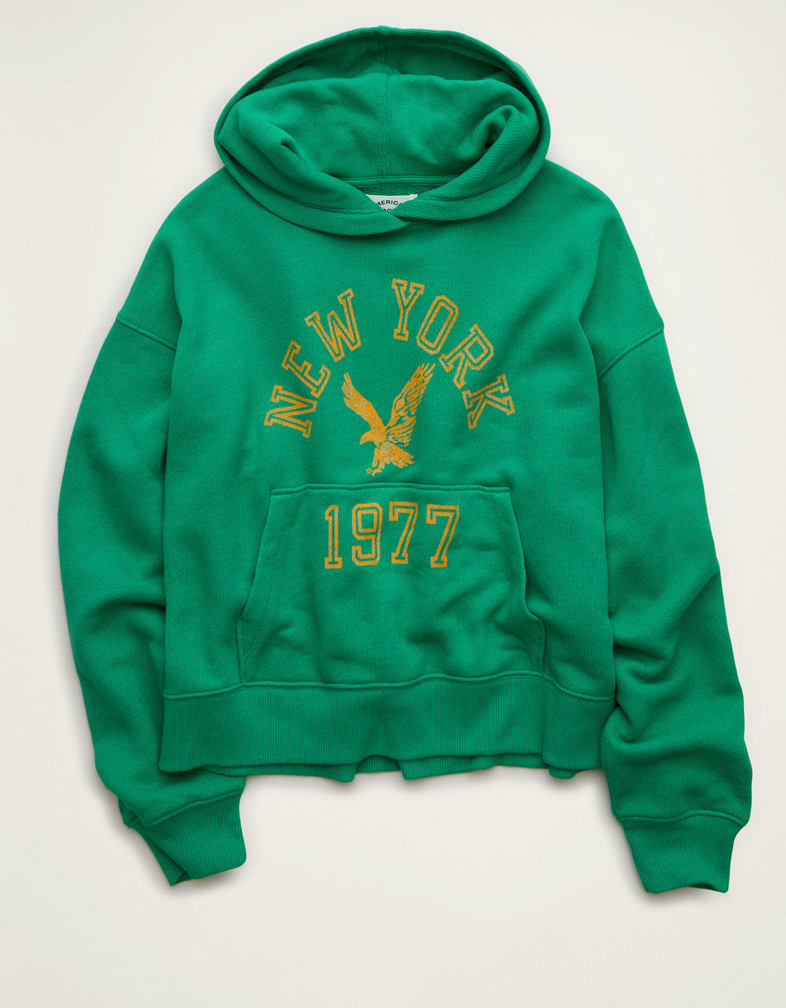 Sudadera con capucha Ae Campus - Generico 1453_3049_370_f