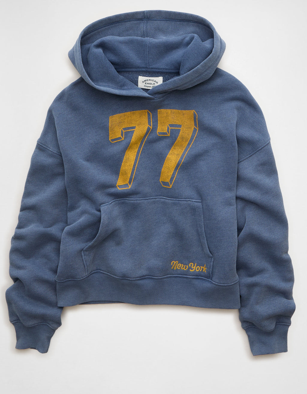 Sudadera con capucha Ae Campus - Azul 1453_3049_911_f