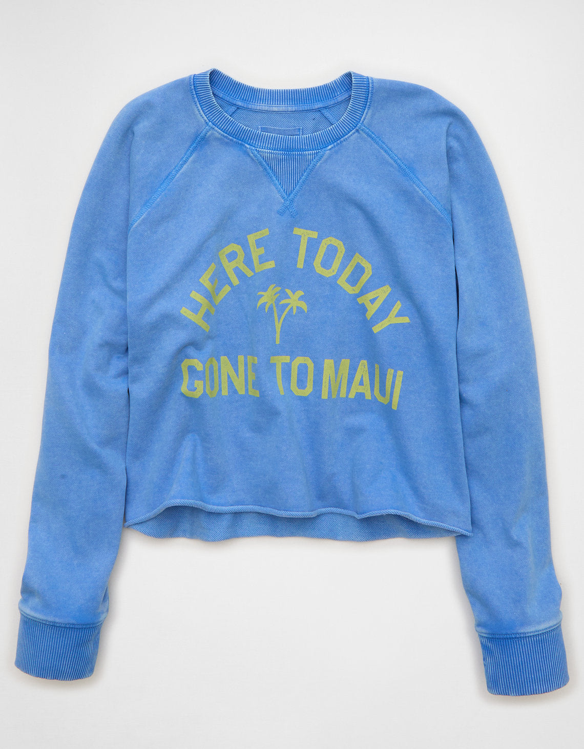 Sudadera Recortada con Corte Ceñido - Azul 1457_3091_424_f