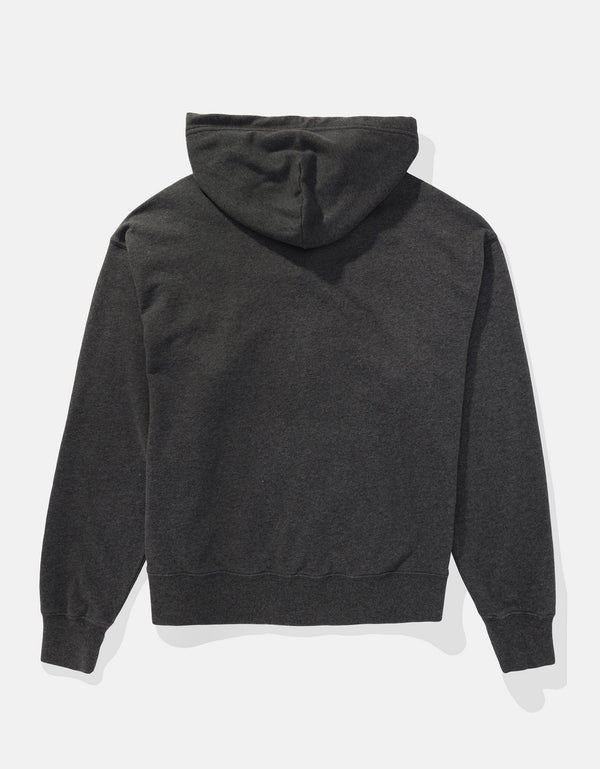 Buzo AE con capucha manga larga de cierre para hombre - Gris