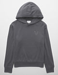 Buzo con Capucha  Ae - Gris 1517_2471_020_f