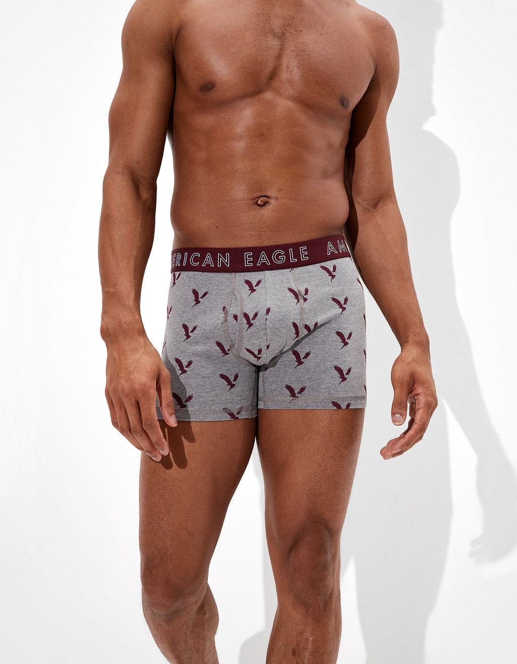 Calzoncillos AEO Eagle 11,43 cm Clásico - Gris 3234_1101_020_of