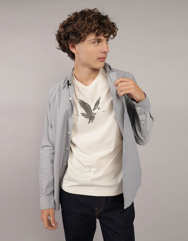 Camisa Oxford Slim Fit Ae - Gris
